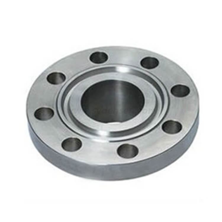 Densen カスタマイズ フランジ ステンレス鋼、フランジ カップリング、フランジ パイプ