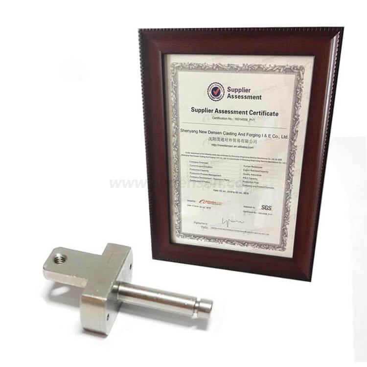 Densen Customized 合金鋼機械加工部品 超小型シャフト部品用機械加工部品