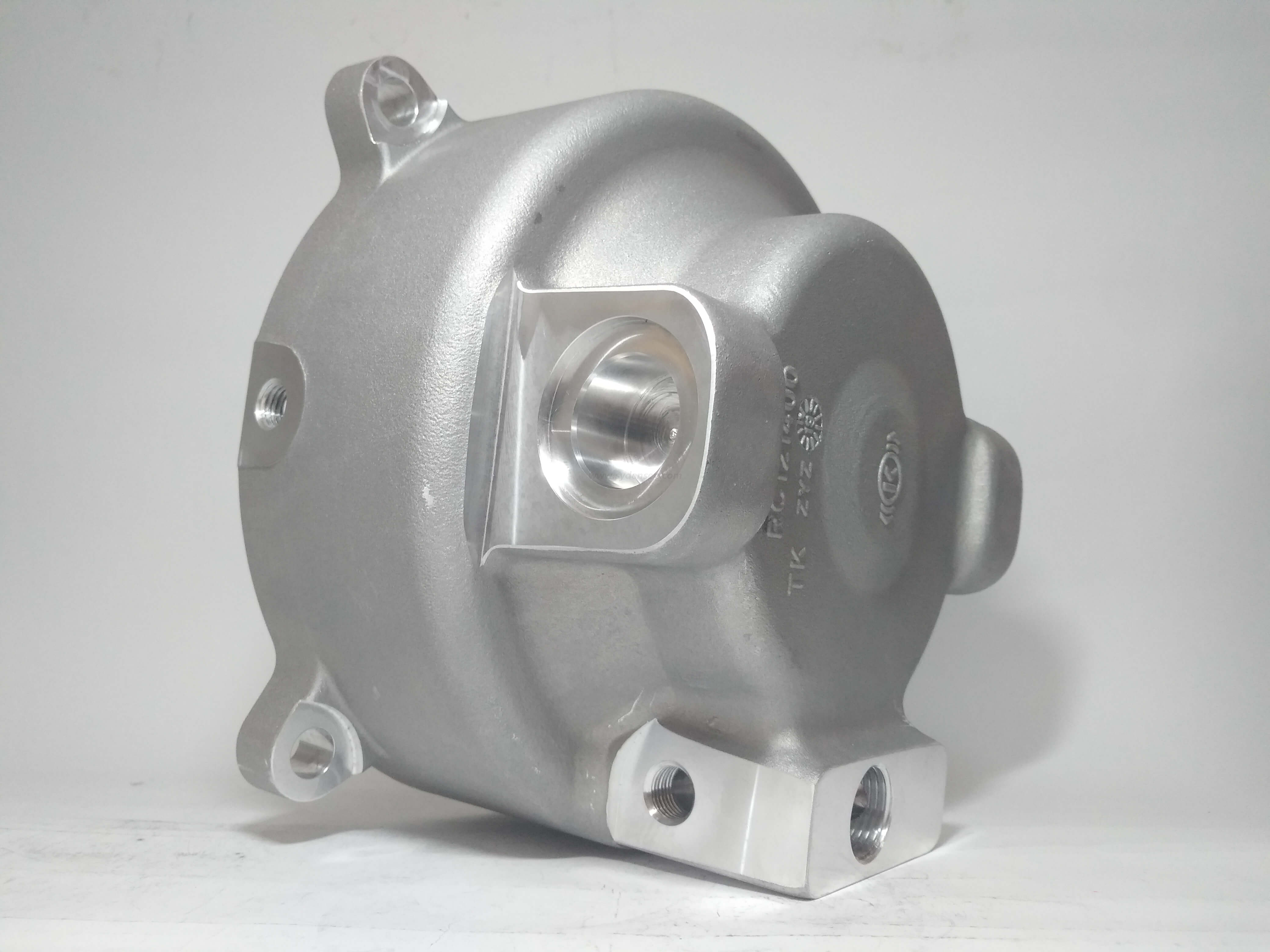 Densen カスタマイズされた高精度の鋳造アルミニウム部品 自動車部品、自動車シリンダー カバー 