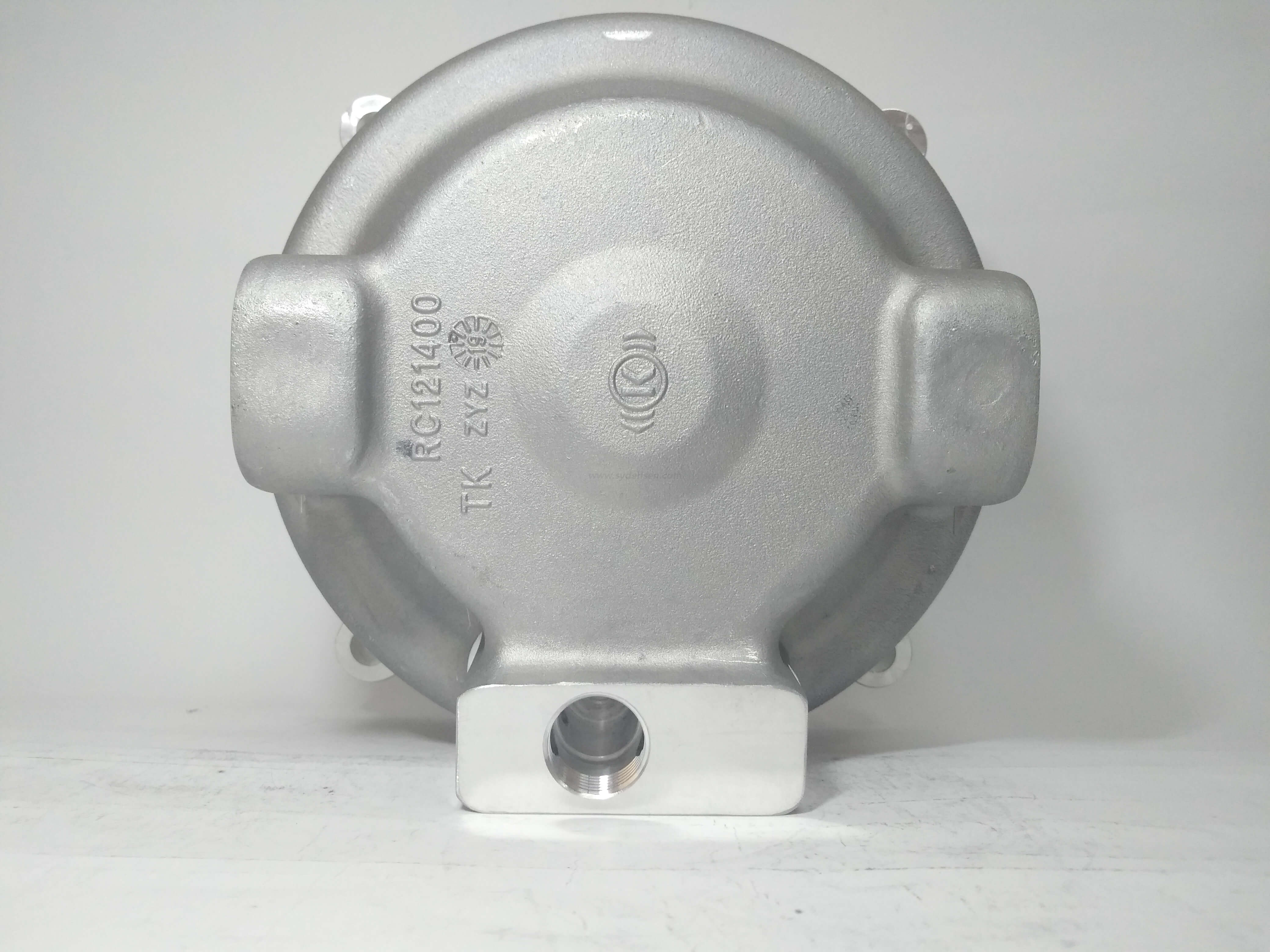 Densen カスタマイズされた高精度の鋳造アルミニウム部品 自動車部品、自動車シリンダー カバー 