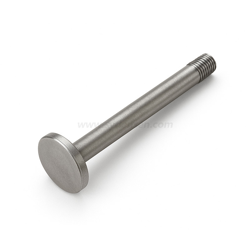 カスタム投資鋳造ステンレス鋼バルブディスク